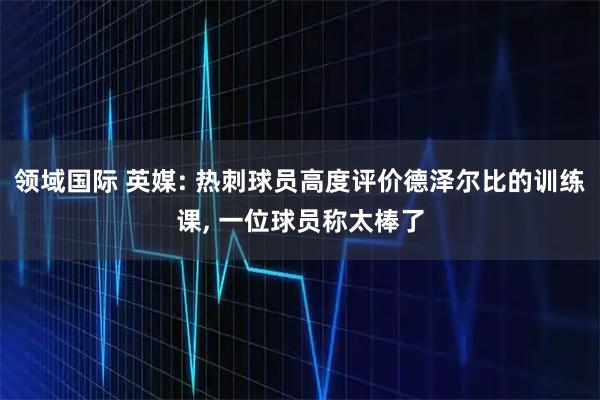 领域国际 英媒: 热刺球员高度评价德泽尔比的训练课, 一位球员称太棒了