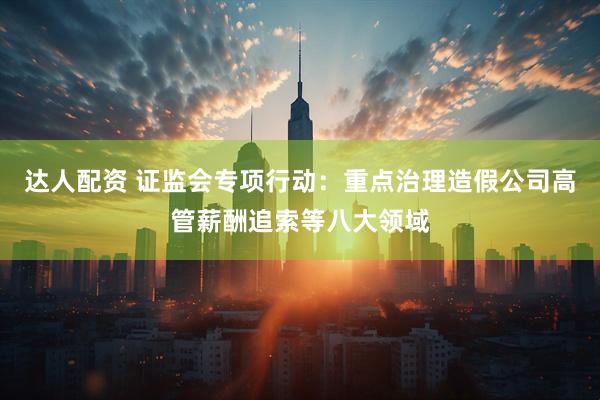 达人配资 证监会专项行动：重点治理造假公司高管薪酬追索等八大领域